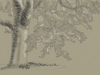 HNI_0072.JPG